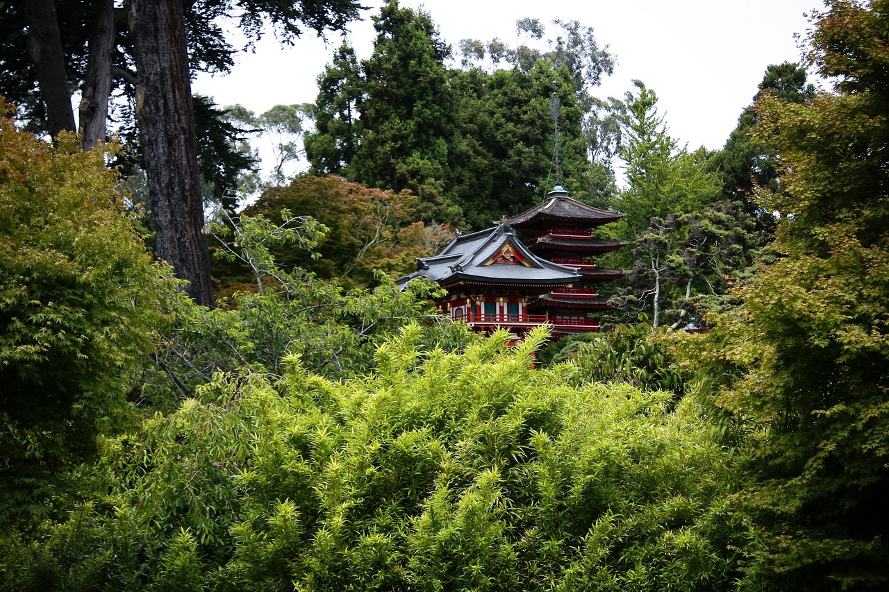 广西林场改革推动绿色转型，助力生态文明建设，最新消息揭秘