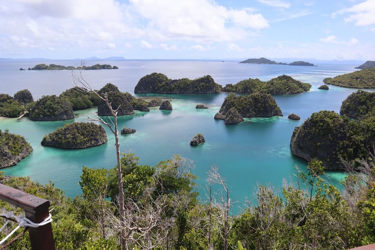 最新旅游资讯，探索全球精彩之旅