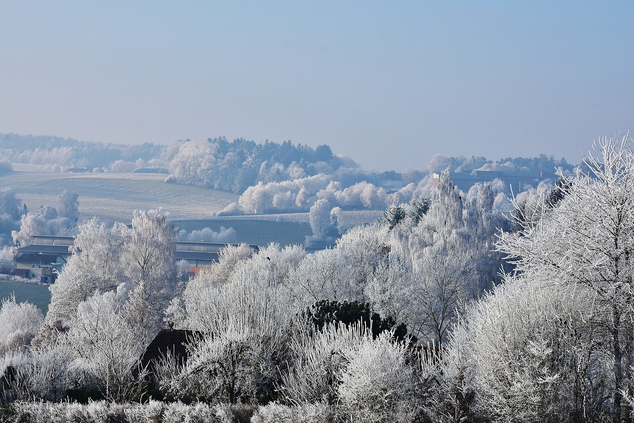 荣成降雪实况，冬日画卷展现美丽景色